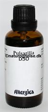 Pulsatilla D30